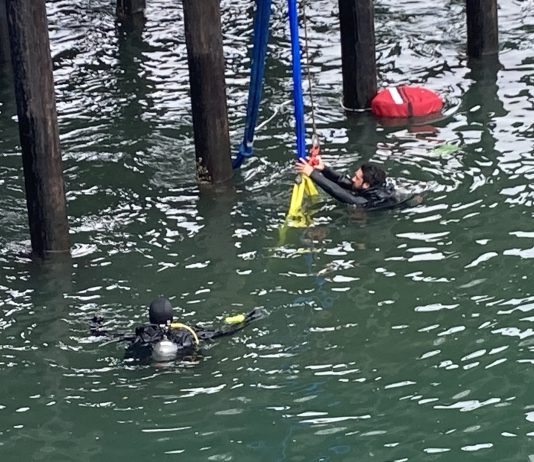 One adult dead, dog sent to animal hospital after van launches off Santa Cruz Wharf Santa Cruz Wharf vehicle extraction