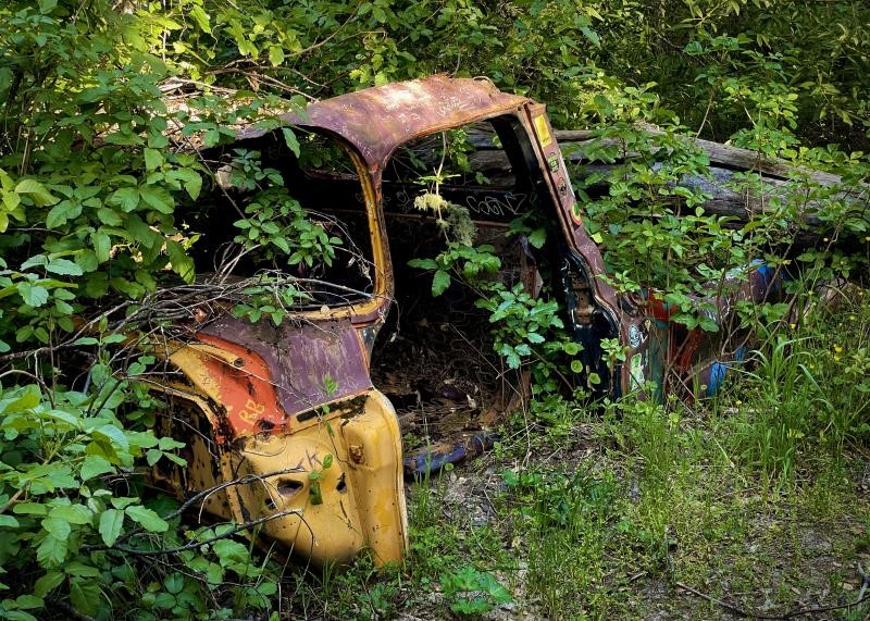 rusting vehicle in the trees