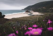 Council, Planning Commission get crash course on new CEQA landscape at study session oceanside