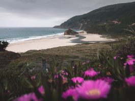 Council, Planning Commission get crash course on new CEQA landscape at study session oceanside