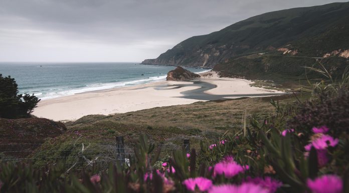 Council, Planning Commission get crash course on new CEQA landscape at study session oceanside