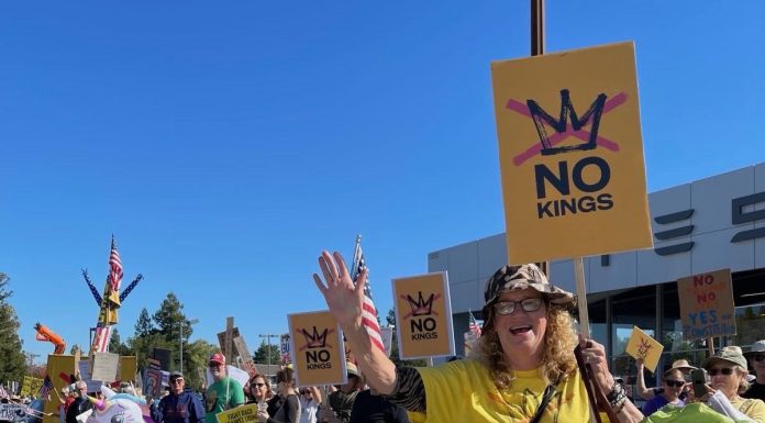 Letter: The power and purpose of peaceful protest inflatables