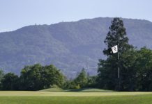 5 green flag, with mountains in background