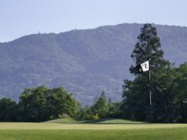 5 green flag, with mountains in background
