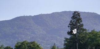 5 green flag, with mountains in background