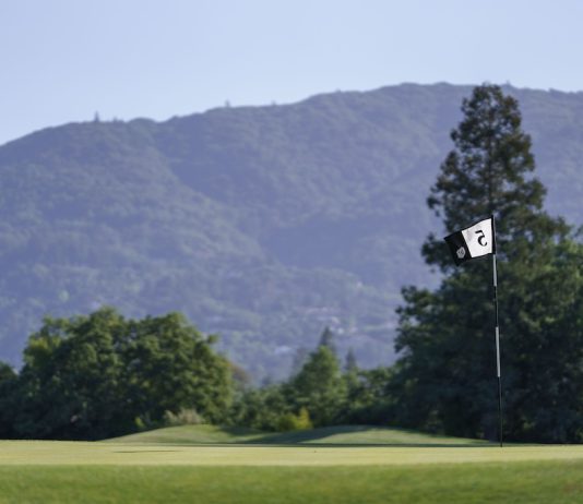 5 green flag, with mountains in background