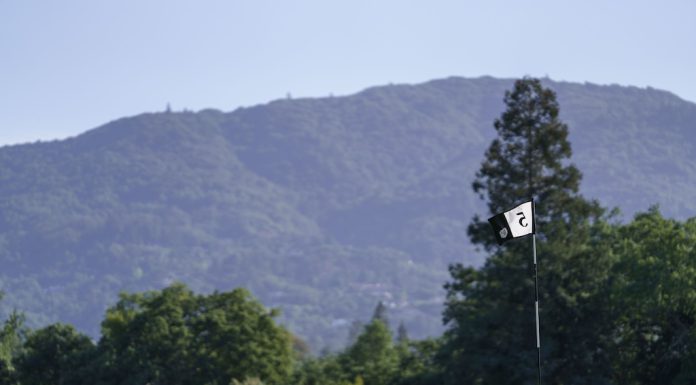 5 green flag, with mountains in background