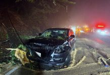 stormy weather wrecks havoc on vehicles