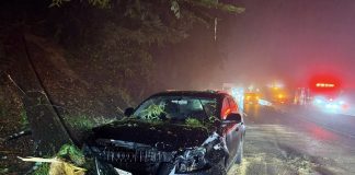 stormy weather wrecks havoc on vehicles