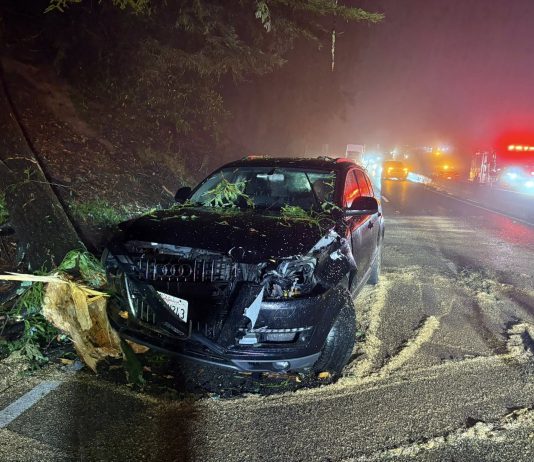 stormy weather wrecks havoc on vehicles