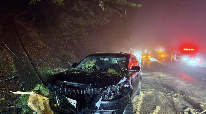 stormy weather wrecks havoc on vehicles