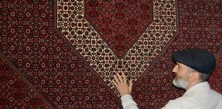 Babak Falasiri with maroon Persian rug at his shop