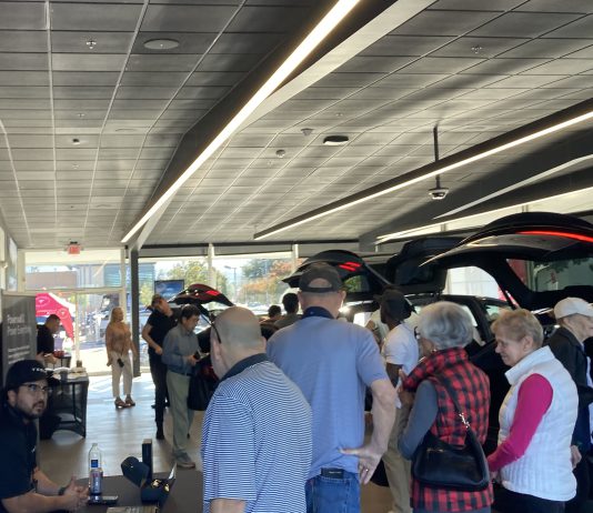 Tesla Opening interior