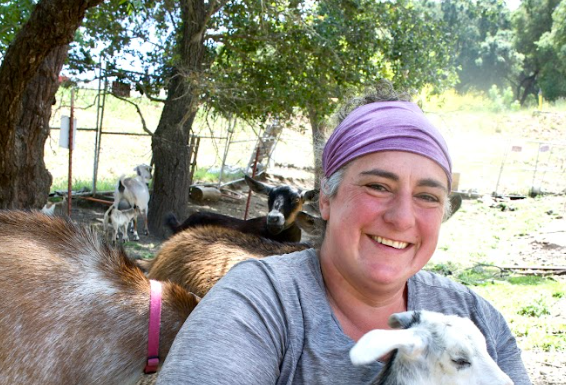 Ma’alot Farms gears up for busy season Shoshana Ohriner holds a small goat