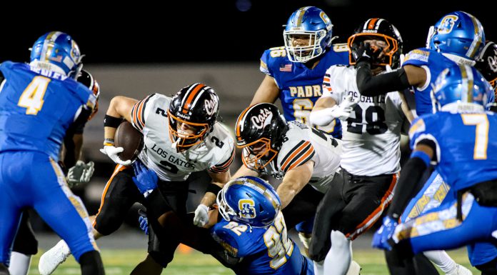 Wildcats lived up to their preseason billing, but defeated in CCS Division I title game