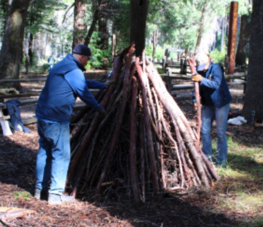 preparing a pile to burn in Big Basin