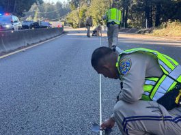 Driver killed in Sunday morning solo crash on Highway 17 identified CHP investigation