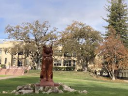 Letter: What an achievement! Los Gatos High School just before Xmas