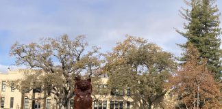 Los Gatos High School just before Xmas