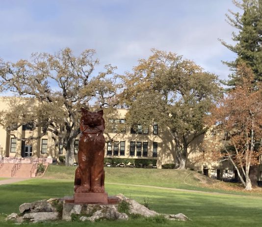 Los Gatos High School just before Xmas