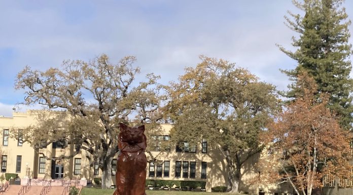 Letter: What an achievement! Los Gatos High School just before Xmas