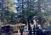 A grinch visited Ace Hardware on Los Gatos Boulevard and stole Christmas decorations and plants (Police Blotter, Nov. 23-Dec. 6) Police in military-style gear in Los Gatos