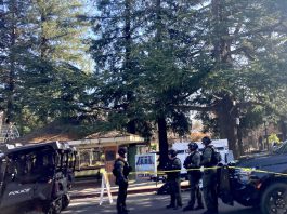 A grinch visited Ace Hardware on Los Gatos Boulevard and stole Christmas decorations and plants (Police Blotter, Nov. 23-Dec. 6) Police in military-style gear in Los Gatos