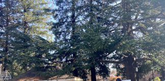 Police in military-style gear in Los Gatos