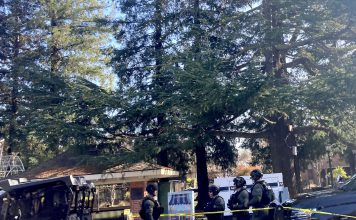 A grinch visited Ace Hardware on Los Gatos Boulevard and stole Christmas decorations and plants (Police Blotter, Nov. 23-Dec. 6) Police in military-style gear in Los Gatos