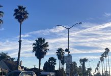 Flock Safety camera in Santa Cruz