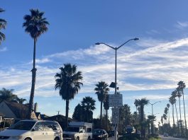 Flock Safety camera in Santa Cruz