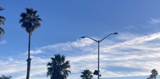 Flock Safety camera in Santa Cruz