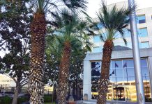 Court hears Los Gatos mom told kids she had clairvoyant, sexual dreams