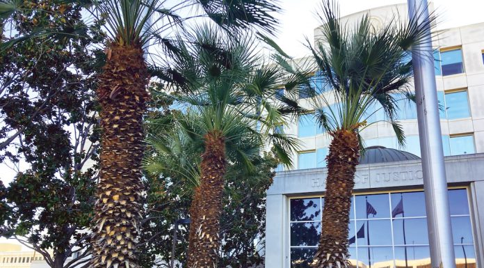 Court hears Los Gatos mom told kids she had clairvoyant, sexual dreams Santa Clara County Hall of Justice