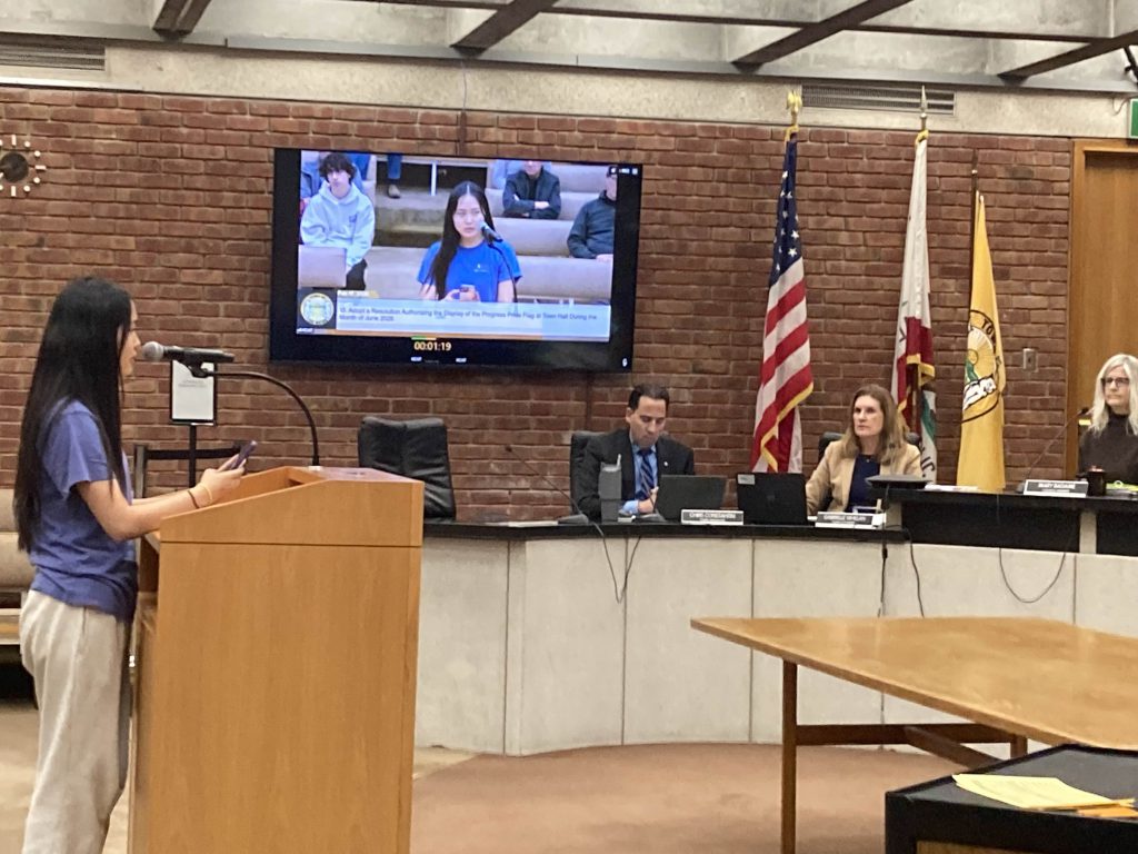 Chesle Bae speaking at Council