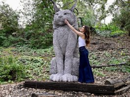 Scrappy the Cat and creator