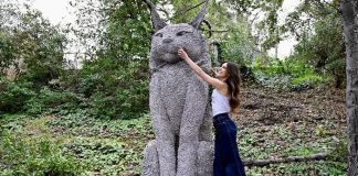 Scrappy the Cat and creator