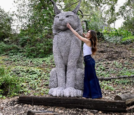 Scrappy the Cat and creator