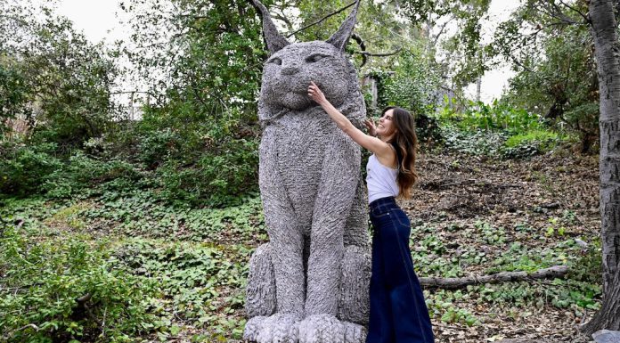 Scrappy the Cat and creator