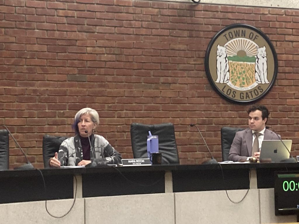 Vice Mayor Maria Ristow