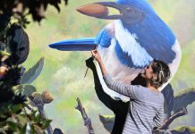 Morgan Bricca with bird mural at Whole Foods