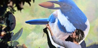 Morgan Bricca with bird mural at Whole Foods