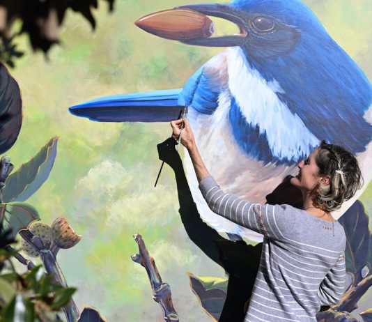 Morgan Bricca with bird mural at Whole Foods