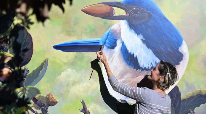 Morgan Bricca with bird mural at Whole Foods