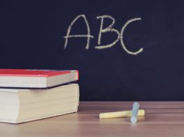 School illustration. (Stocksnap / Pixabay)