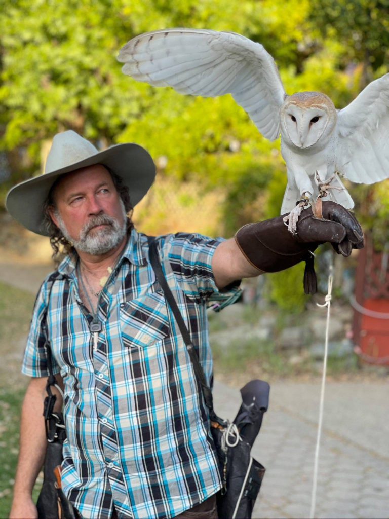 barn owl and human