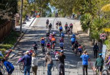 The Cat's Hill Classic