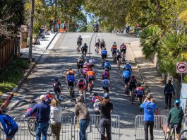 The Cat's Hill Classic