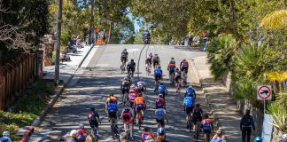 The Cat's Hill Classic