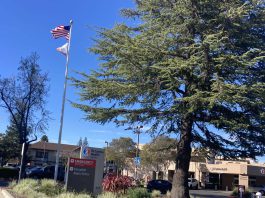 El Camino Health Los Gatos